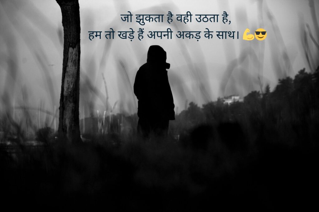 attitude shayari 2 line